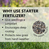 Jonathan Green Veri-Green Seeding and Sodding Lawn Starter Lawn Food For All Grasses 1500 sq ft