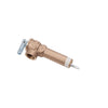Reliance 3/4 in. MNPT Brass Relief Valve 1 pc - Deal of The Week