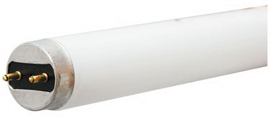 Linear Fluorescent Bulb, T8, Cool White, 32-Watts, 4-Ft. (Pack of 12)