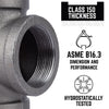 STZ Industries 2 in. FIP each X 2 in. D FIP Black Malleable Iron Coupling