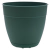 Bloem Dayton 7.5 in. H X 8 in. D Plastic Transitional Planter Turtle Green