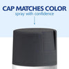 Rust-Oleum Painter's Touch Charcoal Gray Satin Sheen Indoor/Outdoor Spray Paint 12 oz. (Pack of 6)