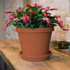 Bloem TerraPot 10.7 in. H X 12 in. D Resin Planter Terracotta Clay