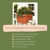Bloem 24 in. H x 24 in. W Resin Deck rail Deck Rail Planter Terracotta Clay (Pack of 10) - Deal of The Week
