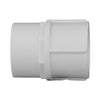 Genova Products 30307 3/4"PVC Sch. 40 Female Adapters (Pack of 10)