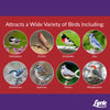 Lyric Delite Wild Bird Food 5 lb