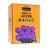 Celebrations Purple 25 ct LED G40 Halloween String Lights