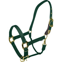 Gatsby Gold Adjustable Safety Breakaway Halter