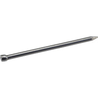 Hillman 6D 2 in. L Finishing Polished Steel Nail Smooth Shank Large (Pack of 6)