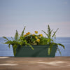 Bloem Dayton 6.87 in. H X 24 in. W Plastic Ocean Series Window Box Turtle Green