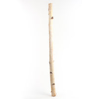 Second Nature Natural Birch Pole Indoor Christmas Decor 32 in. (Pack of 20)