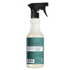 Mrs. Meyer's Clean Day Eucalyptus Scent Multi-Purpose Cleaner Liquid Spray 16 oz (Pack of 6)