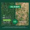 Scotts EZ Seed Tall Fescue Grass Sun or Shade Grass Spot Repair Mix 20 lb