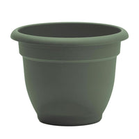 Bloem Ariana 10.25 in. H X 13 in. W X 12 in. D Plastic Traditional Planter Living Green