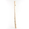 Second Nature Natural Birch Pole Indoor Christmas Decor 32 in. (Pack of 20)