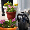 Bloem Ariana 5.1 in. H X 6 in. D Resin Planter Burnt Red
