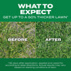 Scott'S 30073 12 Lb Turf Builder Thick'R Lawn Fertilizer & Seed For Tall Fescue 9-1-1