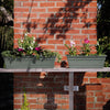Bloem Durra Cotta 5.75 in. H X 18 in. W X 7.5 in. D Plastic Window Box Basil - Deal of The Week