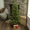Holiday Bright Lights 4 ft. Slim LED 250 ct Emerald Pine Sparkle Color Changing Christmas Tree