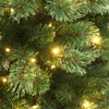 Celebrations 7 ft. Full LED 400 ct Cashmere Pine Color Changing Christmas Tree