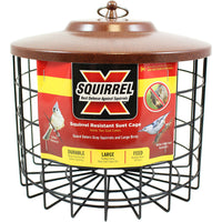 Squirrel-X Squirrel Proof Suet Brown Feeder