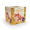 Degroot Gift Box Bulb Kit (Pack of 12)