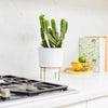 Bloem Hopson 12 in. H x 10 in. Dia. Resin Metal Stand Planter White
