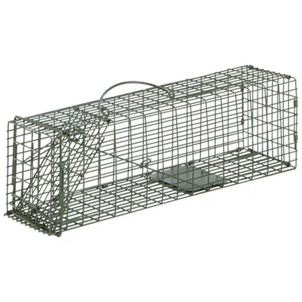 Trampa de jaula estándar Duke Traps, verde, pequeña, 16 in. L x 5 in. W x 5 in. H - Caja abierta