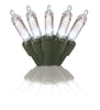 Celebrations Blue LED Mini Cool White 50 ct String Christmas Lights 12 ft. (Pack of 12)