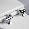 Mayfair Slow Close Round White Molded Wood Toilet Seat