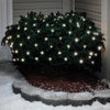 Celebrations Gold LED Mini Cool White 100 ct Net Christmas Lights 6 ft.