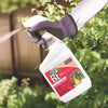 Bonide BT Thuricide Spray Organic Liquid Caterpillar Killer 32 oz (Pack of 12)