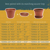 Bloem Terra 17 in. H X 20.5 in. W Resin Traditional Planter Terra Cotta
