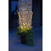Celebrations LED Warm White Lighted Branches 38 in. Yard Decor (Pack of 6)