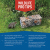 JT Eaton Answer Large Live Catch Animal Trap Cover For Cats and Raccoons 1 pk - Deal of The Week
