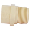 Charlotte Pipe FlowGuard Schedule 40 3/4 in. Socket  x 3/4 in. Dia. MNPT CPVC Adapter (Pack of 25)