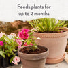 Whitney Farms Organic All Purpose Potting Soil 16 qt