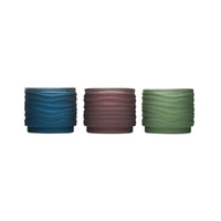 TIKI Assorted Lavish Woodland Scent Frosted Votive Candle 9 oz (Pack of 12)