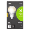 Feit Electric 60 W 800 lm. A19 Warm White Equivalence E26 LED Speaker Bulb
