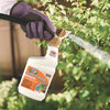 Bonide Concentrated Liquid Disease and Fungicide Control 16 oz (Pack of 6)