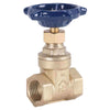 Homewerks 1-1/4 in. FIP Brass Gate Valve - Deal of The Week