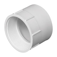 Charlotte Pipe Schedule 40 4 in. Hub X 4 in. D FPT PVC Adapter 10 pk