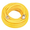 Coleman Cable Outdoor 100 ft. L Yellow Extension Cord 10/3