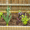 Garden Craft 24 in. H X 50 ft. L Steel Welded Wire Fence 2x3 in.