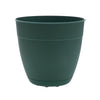 Bloem Dayton 7.5 in. H X 8 in. D Plastic Planter Turtle Green - Deal of The Week