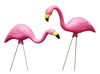 Bloem Mingo Pink Plastic/Resin 20.4 in. H Flamingo Outdoor Decoration
