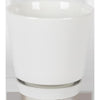Border Concepts 8 in. D Ceramic Flair Saucer Planter White (Pack of 4)