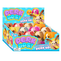 Schylling Perk Ups Squeeze Toy Assorted (Pack of 24)