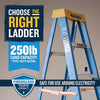 Werner 6 ft. H Fiberglass Step Ladder Type I 250 lb. capacity