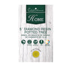 Celebrations 5 ft. Slim LED 100 ct Diamond Potted Color Changing Entrance Tree